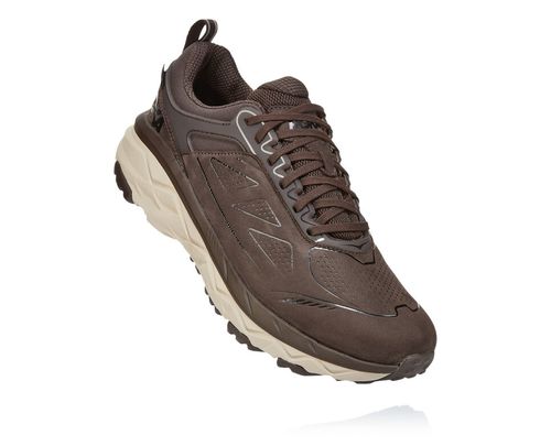 Hoka One One Challenger Low GORE-TEX Men's Trail Running Shoes Demitasse | GRAW-40529